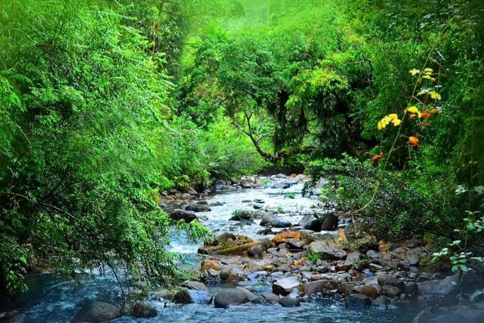 Sinharaja Forest Gate Денияйя Экстерьер фото