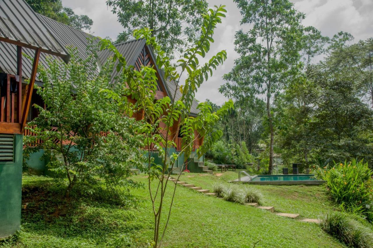 Sinharaja Forest Gate Денияйя Экстерьер фото