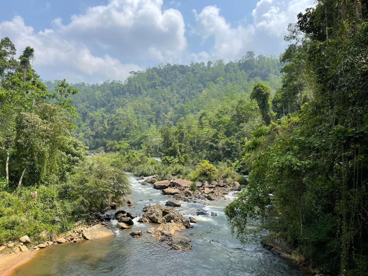 Sinharaja Forest Gate Денияйя Экстерьер фото
