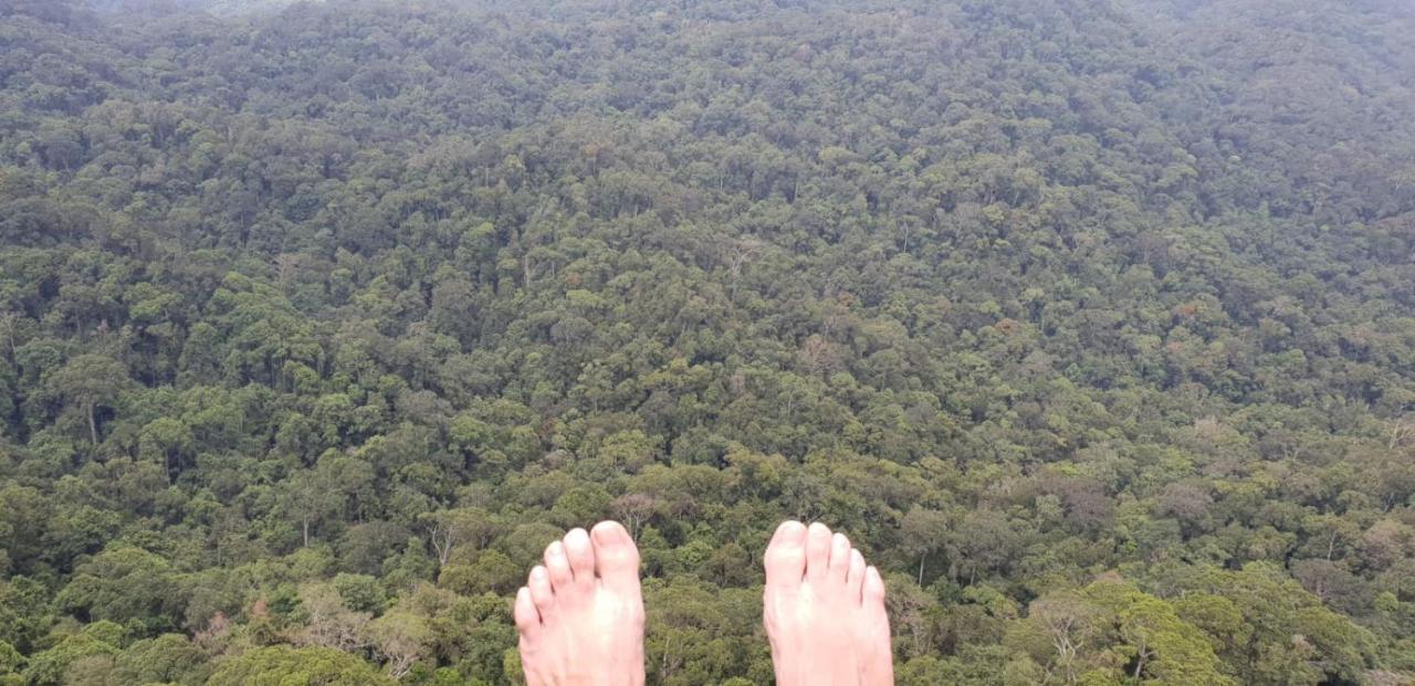 Sinharaja Forest Gate Денияйя Экстерьер фото