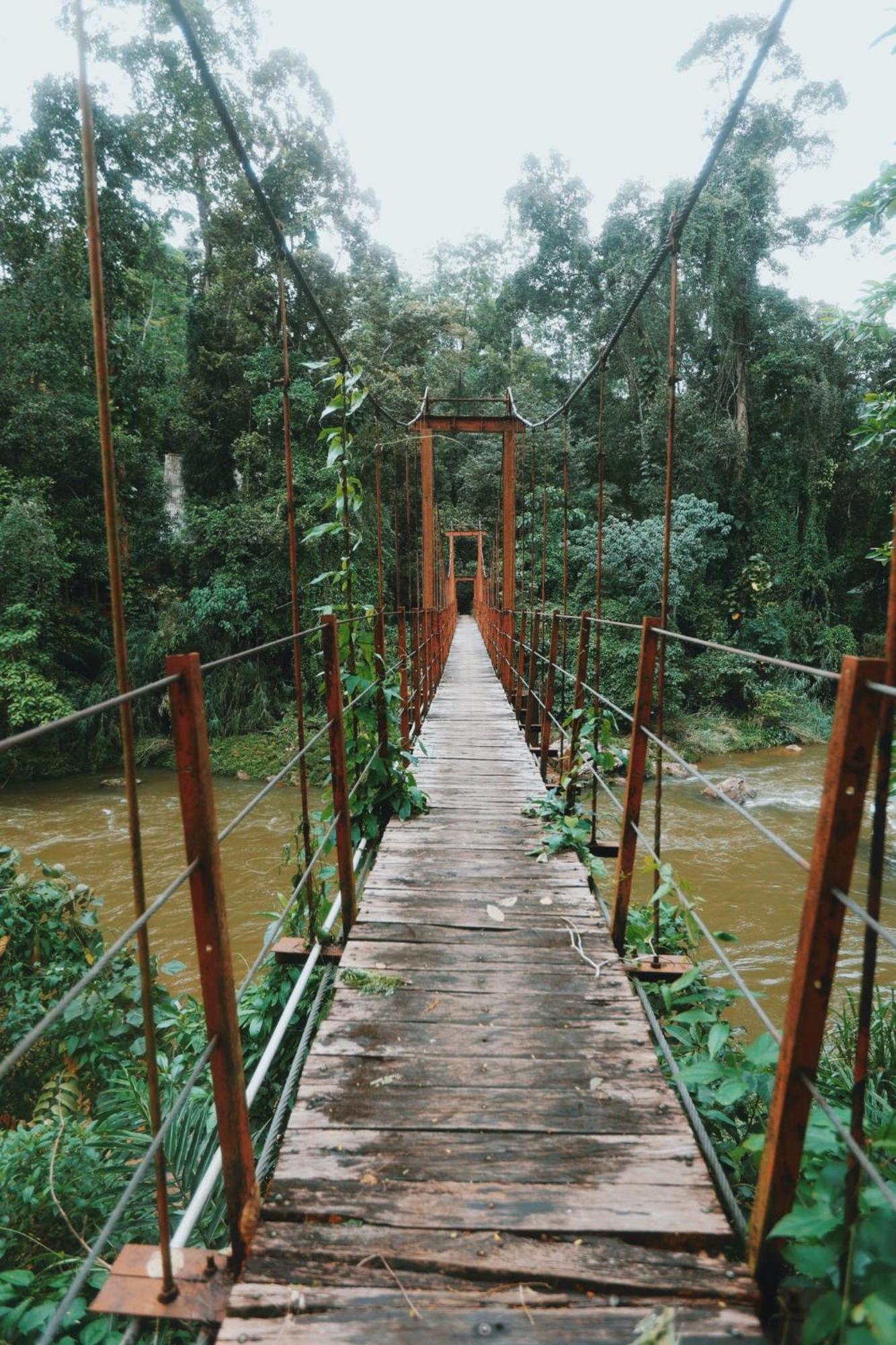 Sinharaja Forest Gate Денияйя Экстерьер фото