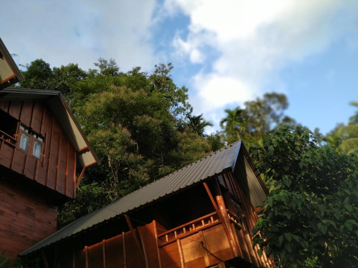 Sinharaja Forest Gate Денияйя Экстерьер фото
